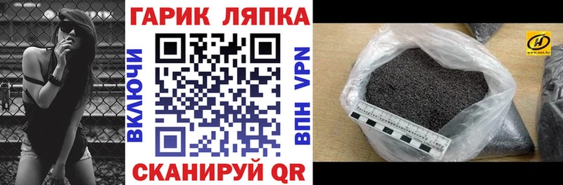 ГАШ Premium  Можга 