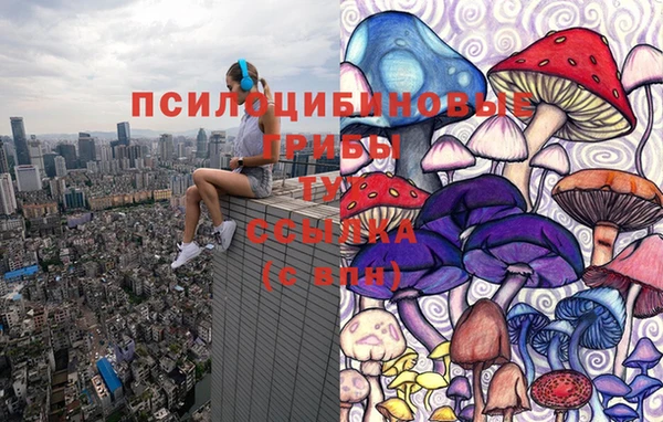 мет Гусиноозёрск