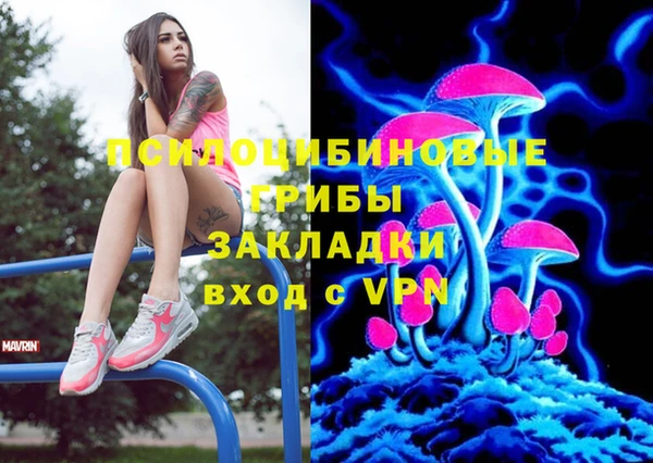 индика Гусь-Хрустальный