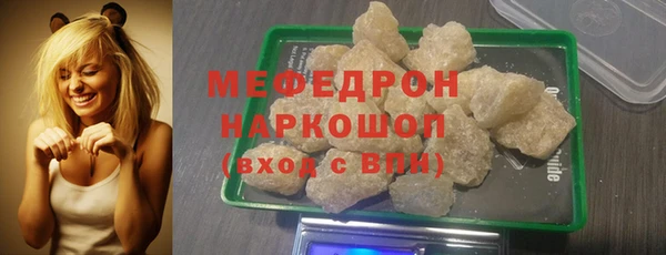 индика Гусь-Хрустальный