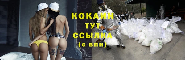 мет Гусиноозёрск