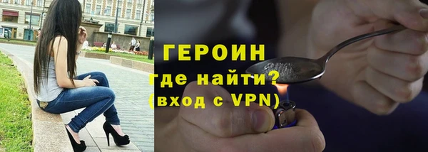 индика Гусь-Хрустальный