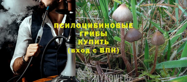индика Гусь-Хрустальный