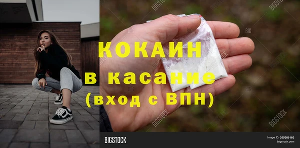 индика Гусь-Хрустальный