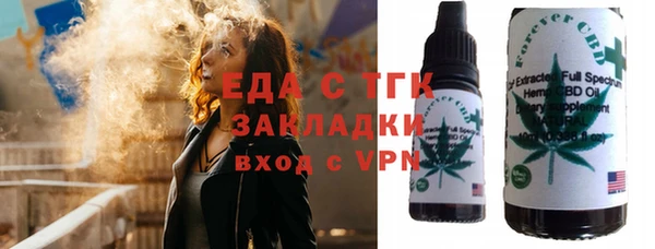 индика Гусь-Хрустальный