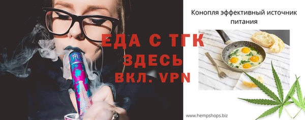 индика Гусь-Хрустальный