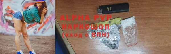 индика Гусь-Хрустальный
