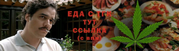 индика Гусь-Хрустальный