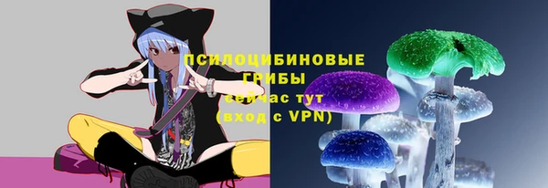 индика Гусь-Хрустальный