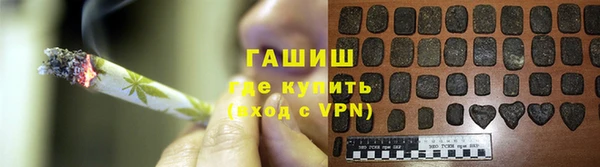 индика Гусь-Хрустальный