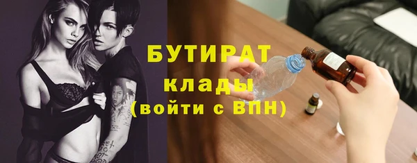 индика Гусь-Хрустальный