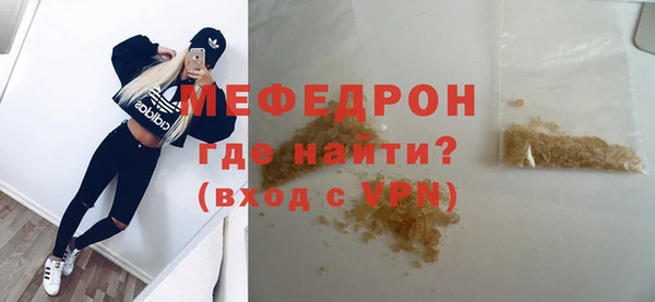 индика Гусь-Хрустальный