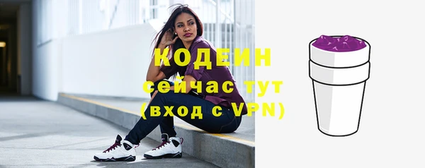 индика Гусь-Хрустальный