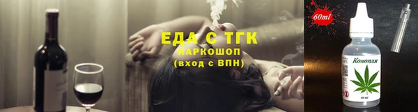 индика Гусь-Хрустальный