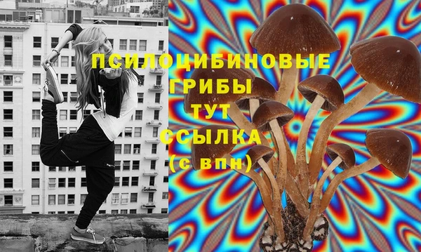 мет Гусиноозёрск