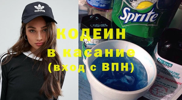 индика Гусь-Хрустальный