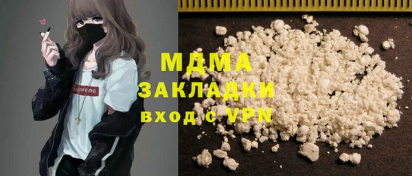 индика Гусь-Хрустальный