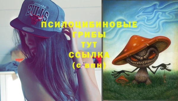 амфетамин Гусев