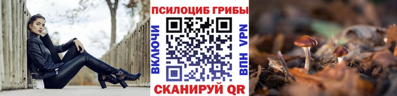 наркотики  Можга  кракен маркетплейс  Галлюциногенные грибы GOLDEN TEACHER 