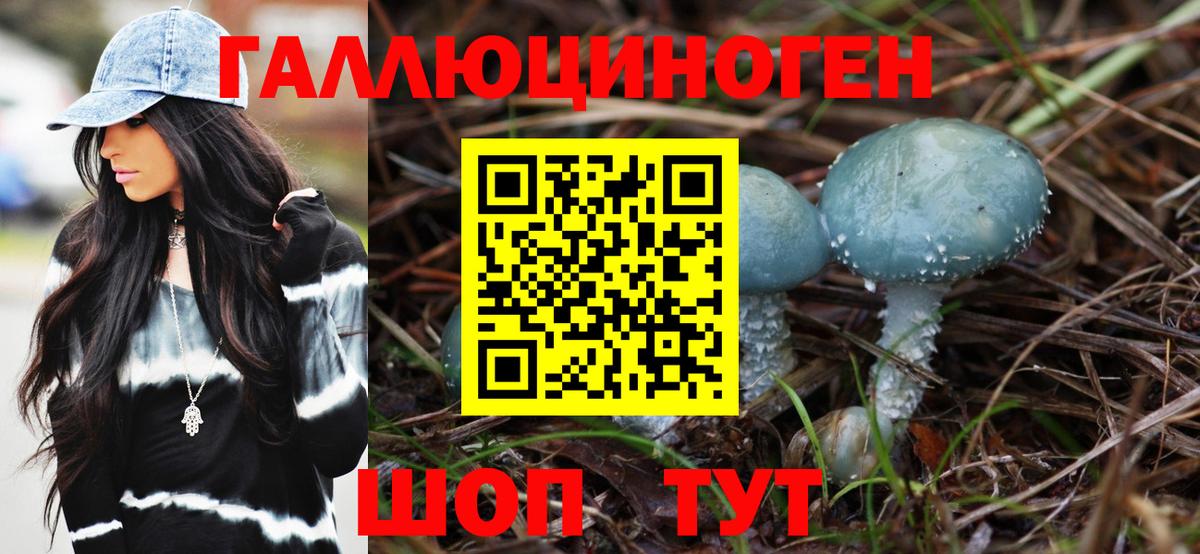 Псилоцибиновые грибы прущие грибы Можга