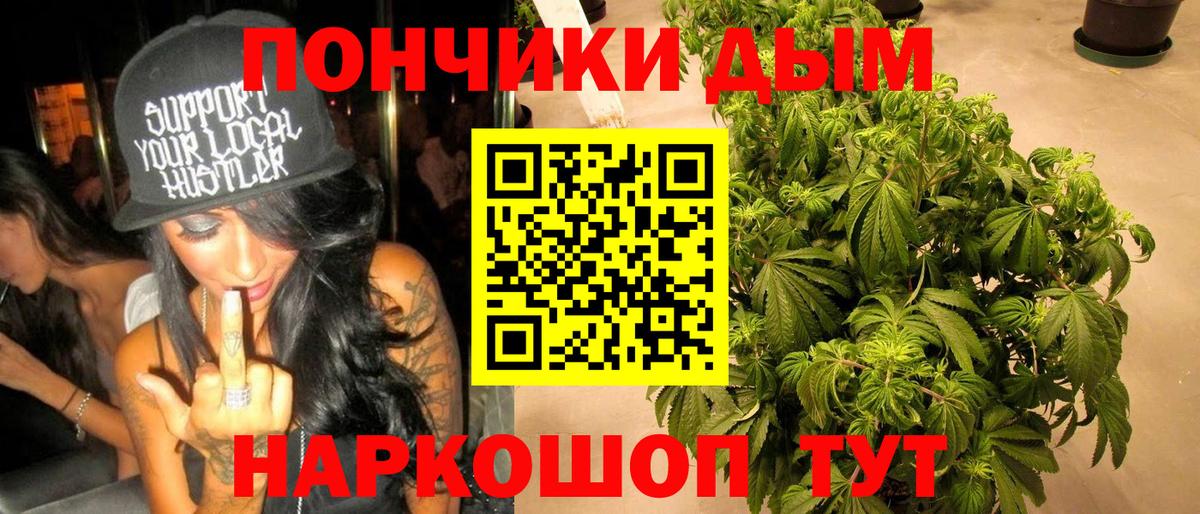 Бошки Шишки марихуана  Можга  Марихуана Ganja  Шишки марихуана планчик 